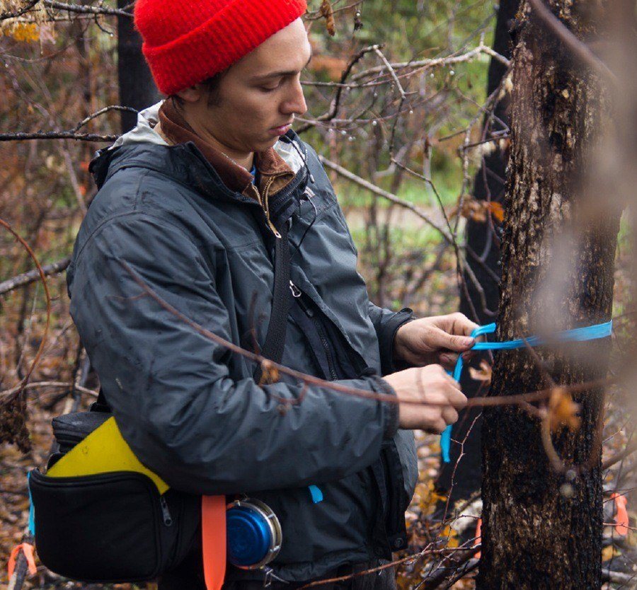 Matt tagging a scorched tree.